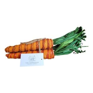 NEW Farmhouse by Rachel Ashwell Orange Colored Faux Decorative Carrots(Set of 3)